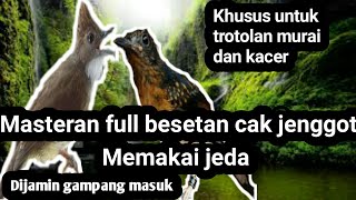 Download Lagu Masteran murai dan kacer isian cucak jenggot full tembakan MP3