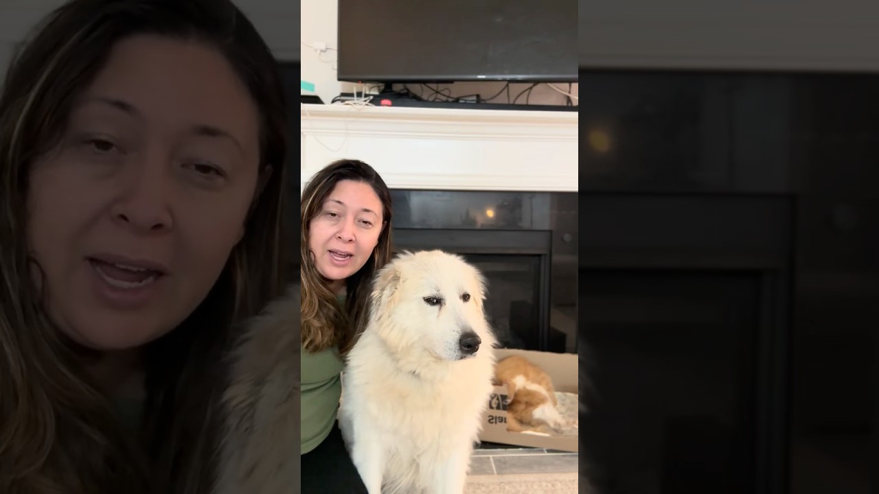 Она знает, что делает.