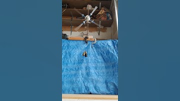 1.000 kg hanging mass