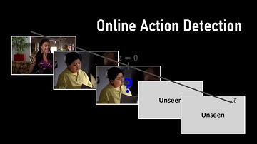 Learning to Discriminate Information for Online Action Detection