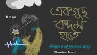 kodom [কদম] Blue jenes!  lo-fi song Slowed and Reverb
