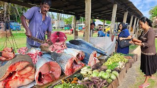 : Wow!! Traditional Street Village Fish Markets Of Sri Lankan Island Village