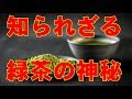 緑茶は1日何杯まで！？緑茶の健康効果