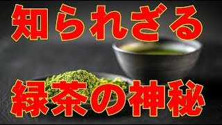 緑茶は1日何杯まで！？緑茶の健康効果