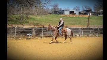 Sandra D - Flag Work & Ranch Sorting