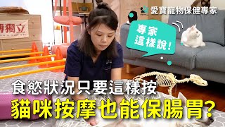 【專家這樣說】貓咪專屬按摩師？食慾腸胃狀況只要「這樣按」│愛寶寵新知 AIPAWs X 保健知識家