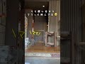 ママって呼びながらママ探してる🥺#ブリティッシュショートヘア#猫#喋る猫#shorts