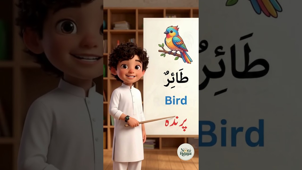 Arabic Birds Vocabualry for Kids & Beginners | Learn Arabic for beginners #shorts| NH Institue