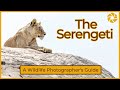 Serengeti  a wildlife photographers guide