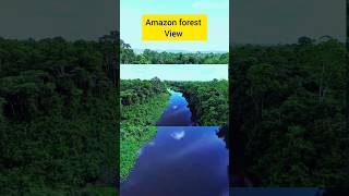 #amazon rainforest 4k😲