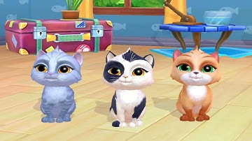 My Cat: My Virtual Pet - Tamagotchi Pet Simulator Android Gameplay