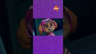 Jet To The Rescue | Paw Patrol | 15th August | Friday 11:00 AM