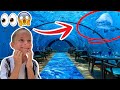 WE HIRED A RESTAURANT UNDER THE SEA 😱 *ROMAN'S 6TH BIRTHDAY SURPRISE*