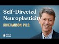 Self-Directed Neuroplasticity - Rick Hanson | The FitMind Podcast