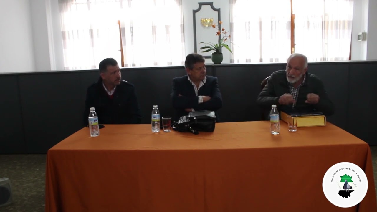 Primer Monográfico del Club Extremeño de criadores del Buchón Gorguero (I)