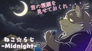 【ねこ☆らじ -Midnight→All Night→Morning-】通称　閉店時間不定期雑談