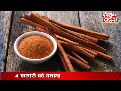 इन 10 चीजों को खाने से कम हो सकता है कैंसर का खतरा