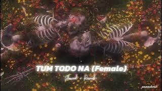 Tum Todo Na Dil Mera Slowed And Reverb  ( Female )