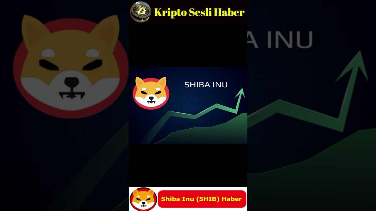 Kripto Sesli Haber | Shibarium İçin Özel Shiba Yakım Portalı