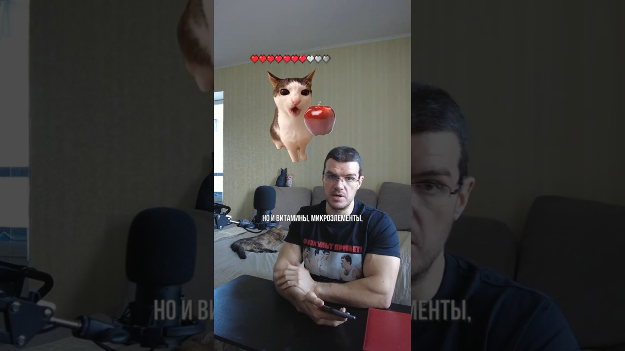 Лучший выбор сладкого на диете  