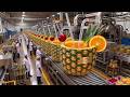 Inside Giant Pineapple Juice Factory | From Fruit to Bottled Juice