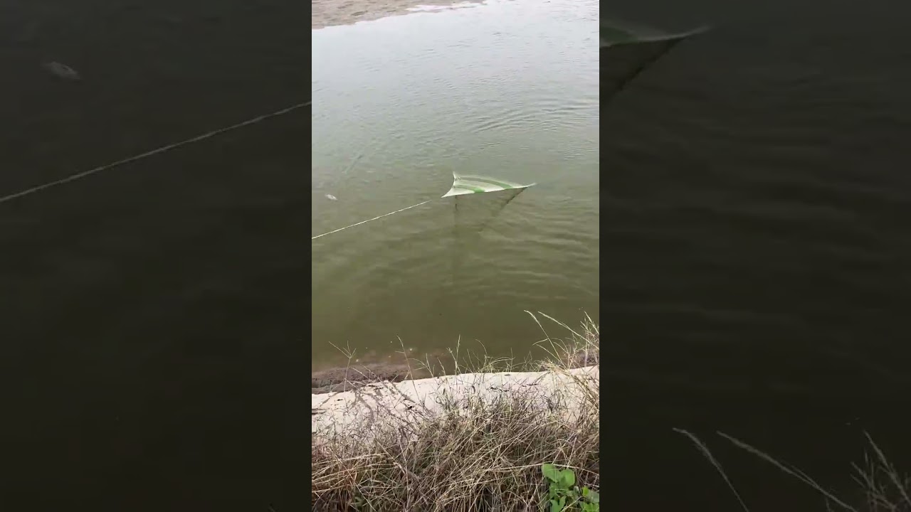 fishing  catching in forest river #fishing #fishingvideo