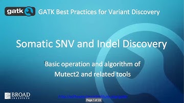 15. Somatic SNVs and Indels Discovery