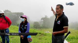 REFORESTACION EN ALLURIQUIN