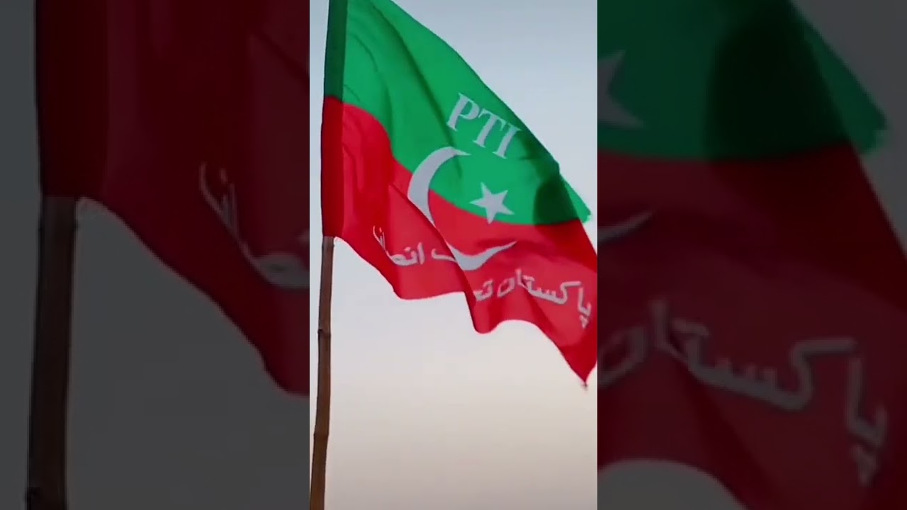 Love You Pakistan Tehrek Insaf Supporters on This Great Victory In Punjab