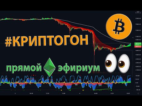 Video: Мизантроптор кимдер?