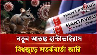নতুন আতঙ্ক হান্টাভাইরাস, বিশ্বজুড়ে সতর্কবার্তা জারি | Hantavirus Outbreak | Independent TV