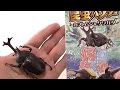 Beetles Toy 昆虫ハンターカブトムシ