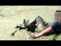 my first time with waders in sticky mud  (part 5).mp4