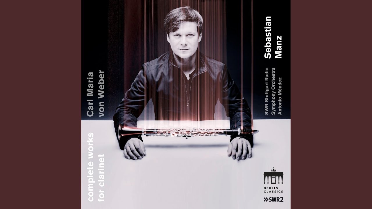 Grand duo concertant, Op. 48: I. Allegro con fuoco