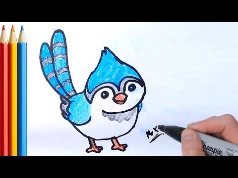 fast-version) How to Draw Blue jay Bird (simple) - Step by Step Tutorial 