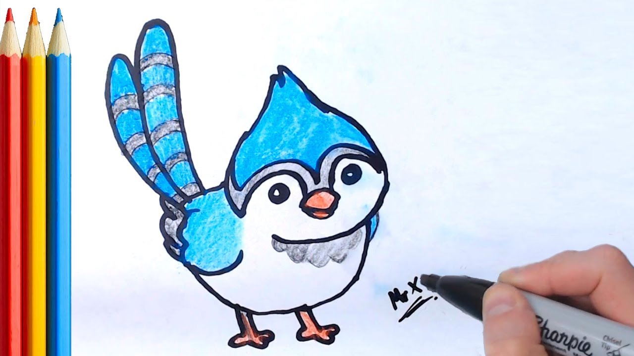 How To Draw Blue Jay Bird Simple Step By Step Tutorial Youtube