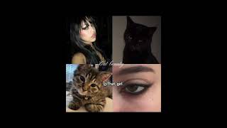 Which Animal Beauty You HaveシViral