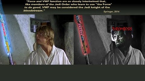 von Willebrand Factor unfolding mediates platelet deposition in a model of high-shear thrombosis