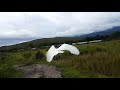 Burung kakak tua free fly ( Cayko) terbang di bawah bukit teletabis Papua