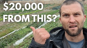 How to Earn $20k/Year Farming in 10 Hours a Week