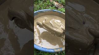 cleaning a racing car Sastisfying ASMR mur