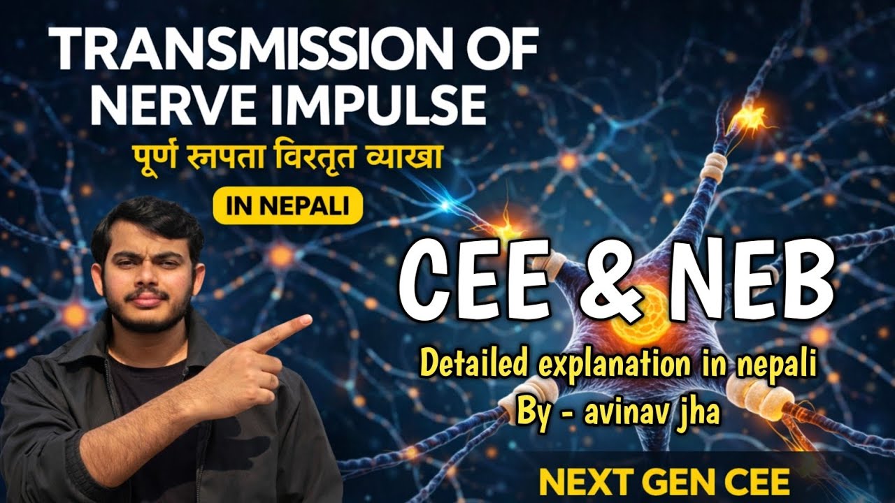 Transmission of nerve impulse in Nepali | CEE | NEB | Nervous system| nextgenCEE