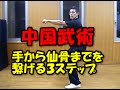 【中国武術】 手から仙骨までの意識を繋げる３ステップ（＃068）