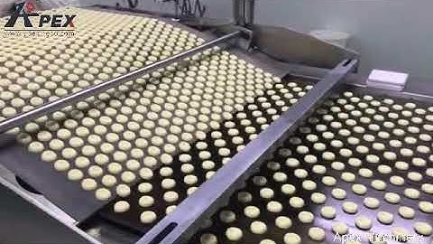 Soft Biscuit /wafer/cookie/sandwiching Production Line -APEX MACHINERY