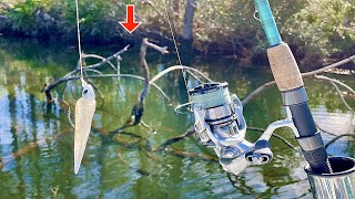 Fishing Under This SUBMERGED TREE! with EPIC Results!