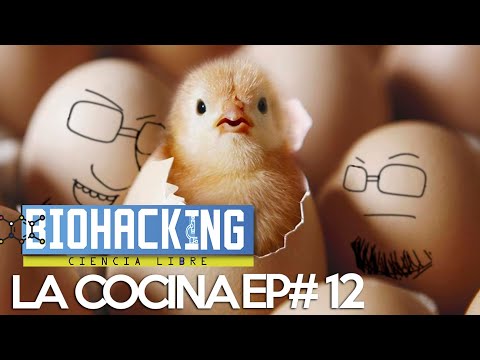 Biohacking Colombia