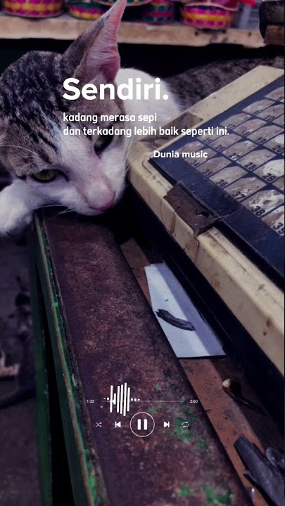 Story wa kesendirian ini terasa sepi