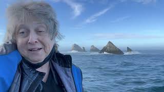 Passing the Shag Rocks on the way to the bottom of the world. #shorts