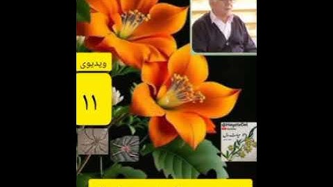 ۱۱_شرح سوره مبارکه عنکبوت ،نکات آیات