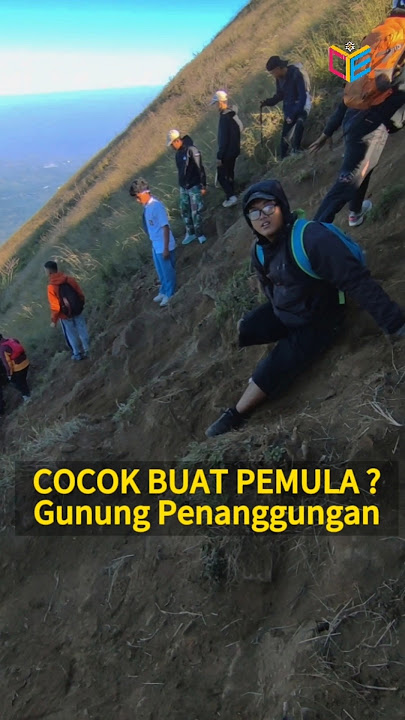 Masak sih, gunung penanggungan cocok buat pemula gak sih? #pendaki #pendakigunung #pendakiindonesia
